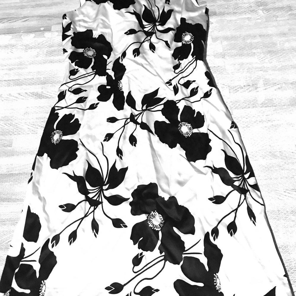 Beautiful silk dress